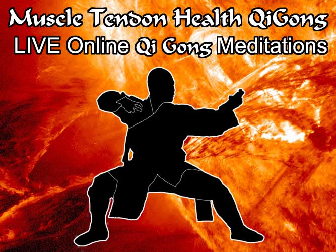 Online LIVE Meditation Qi Gong January 2016.htm